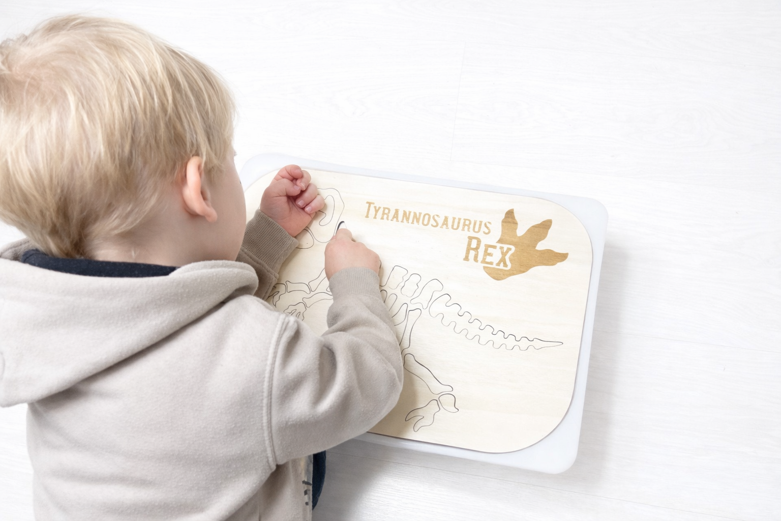 Aktivitätsplatte für Trofastbox | Dino Ausgraben