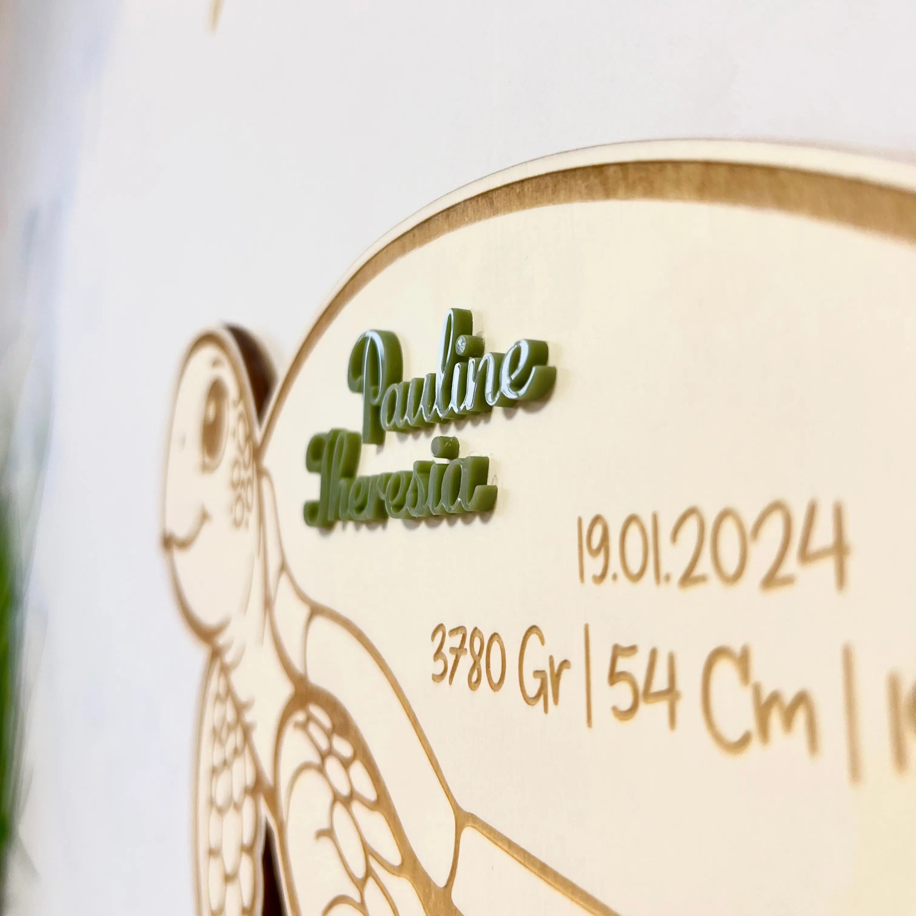 Wandschild „Schildkröte“ – personalisiert mit Namen & Geburtsdaten Kreativio